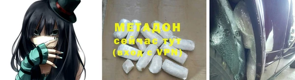 хмурый Аркадак