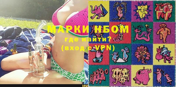 хмурый Аркадак