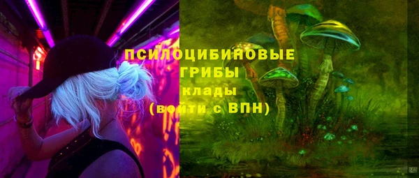 хмурый Алзамай
