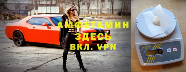 ешки Алексин