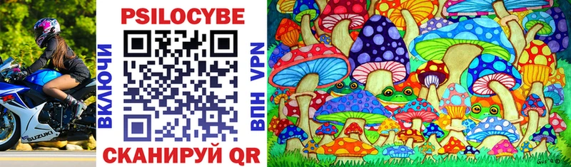 магазин    Бологое  Псилоцибиновые грибы Magic Shrooms 